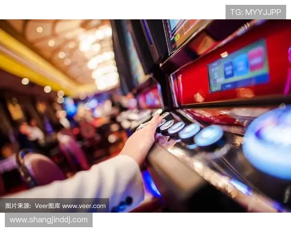 多样化娱乐游戏老虎机平台选择，满足不同玩家的个性化需求