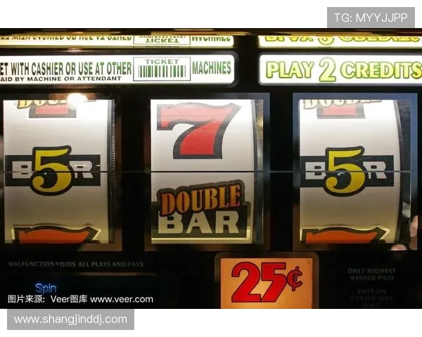 不同类型的老虎机玩法解析及选择指南 不同类型的老虎机玩法解析及选择指南