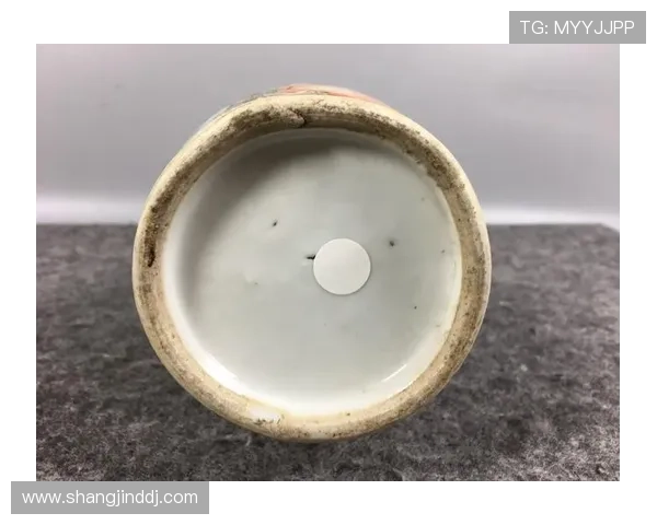 多福多彩老虎机带你体验丰富多彩的精彩游戏世界，开启幸运之门