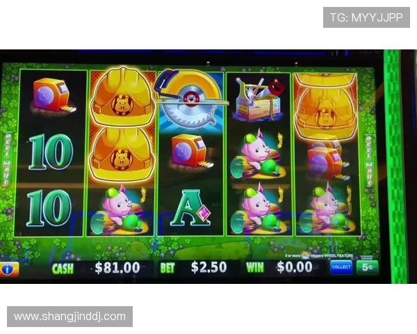 老虎机真人国际：结合先进技术实现最真实的真人老虎机游戏体验