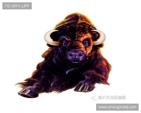 选择优质老虎机国际登录平台的技巧与注意事项详解