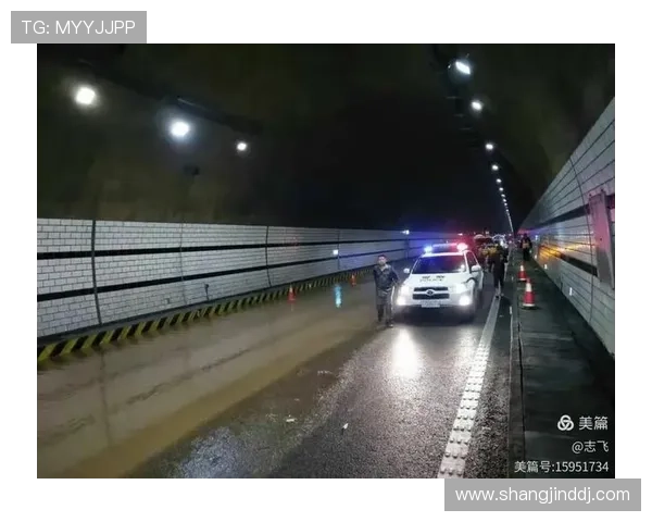 2024年DB电子游戏官网入口官方最新地址全面更新，确保玩家安全顺畅登录体验